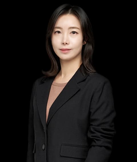 천안회계감리 민사소송변호사 undefined
